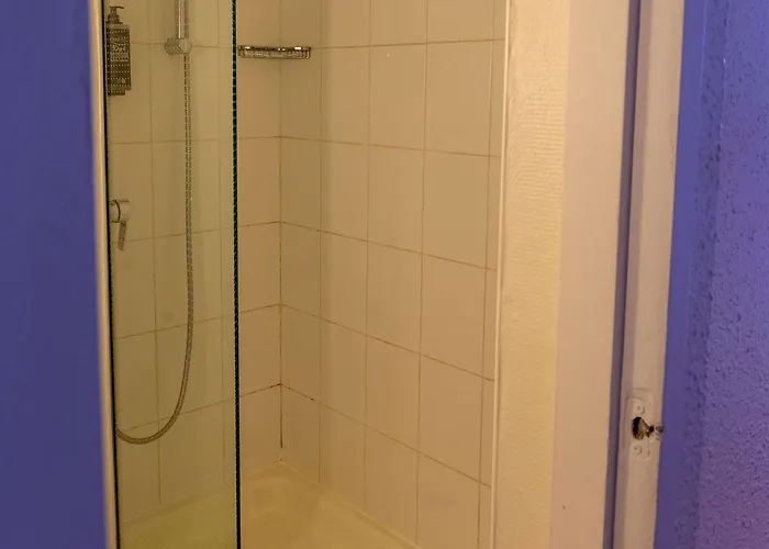 Ibis Lyon Est